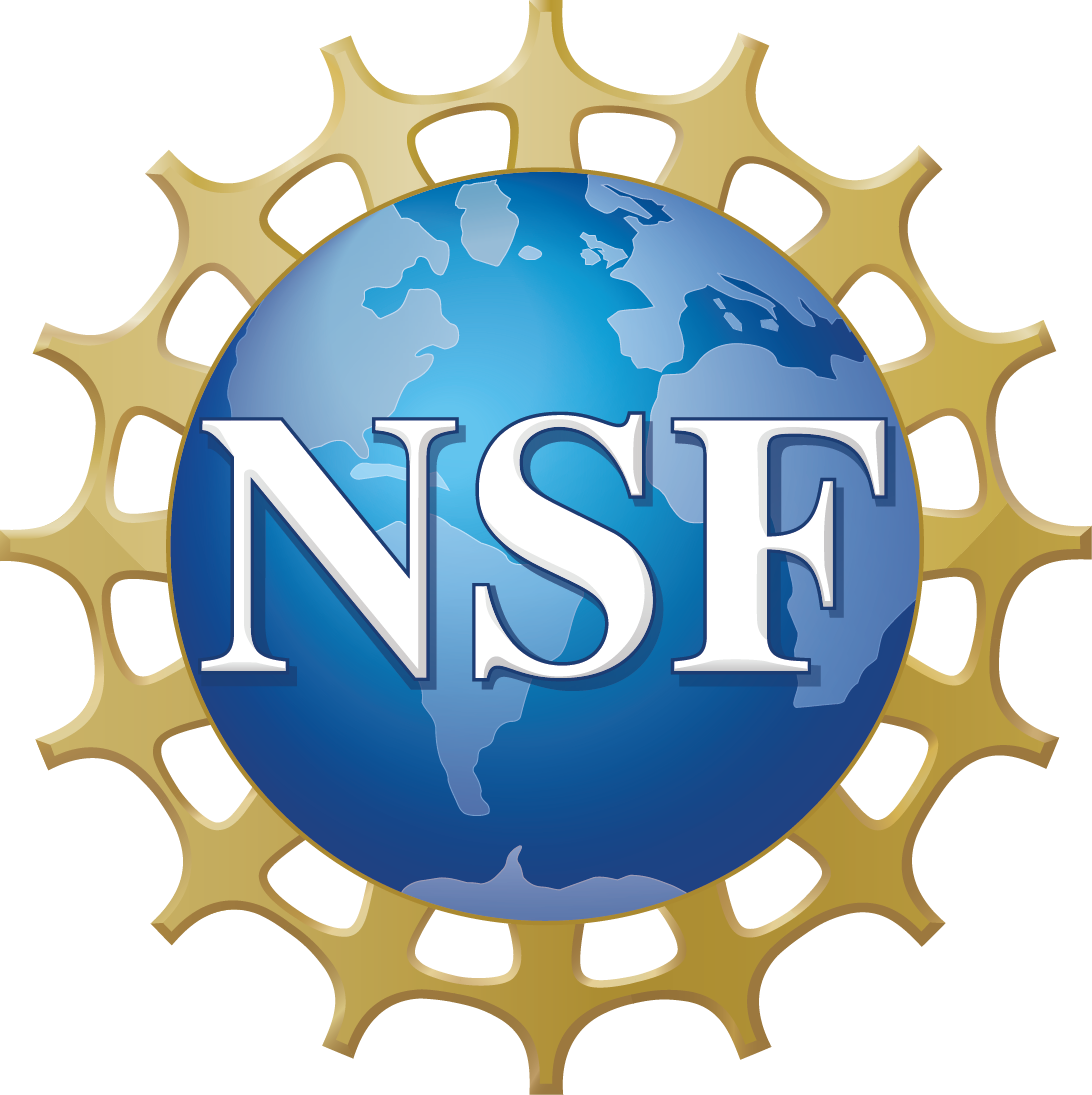 NSFLogo-02
